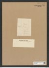 Chaetoceros decipiens Cleve (de-Toni-Nr.: Genus 149, Species 4119) Zeichnungen Sammlung Grunow Nr. 7664 (NHMW-BOT-W0376856)